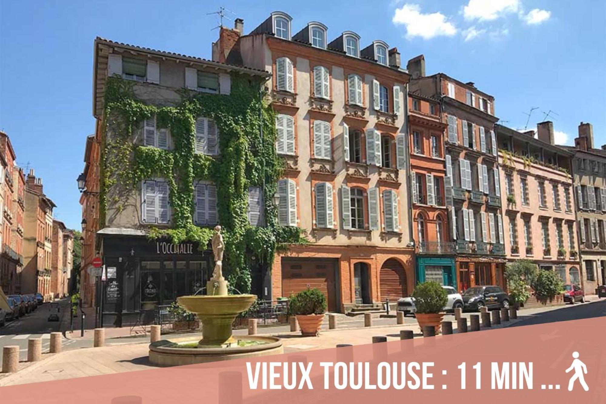 Chartreuse, Clim, Parking, Terrasse Au Calme Apartment Toulouse Bagian luar foto